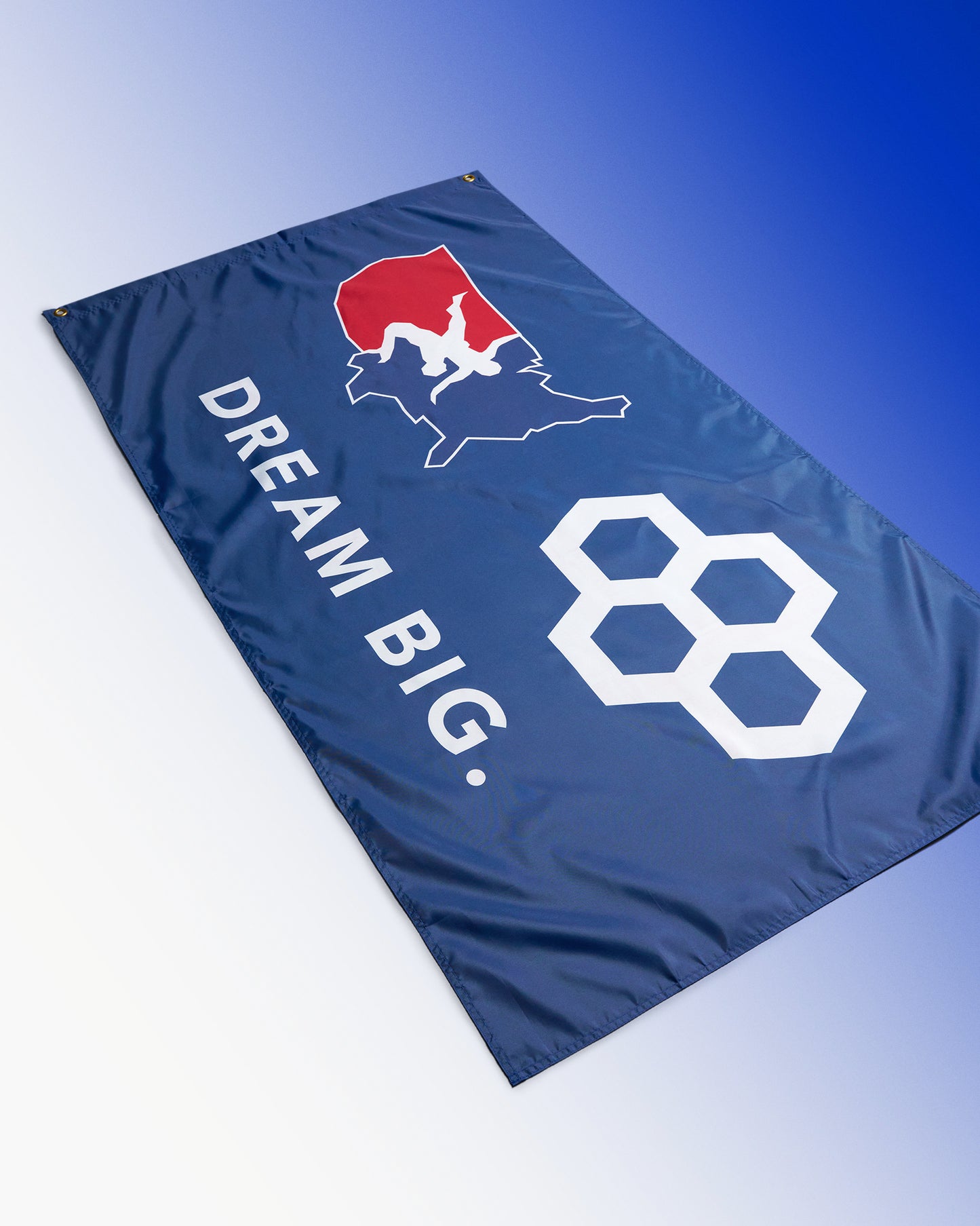 USA Wrestling Dream Big Flag