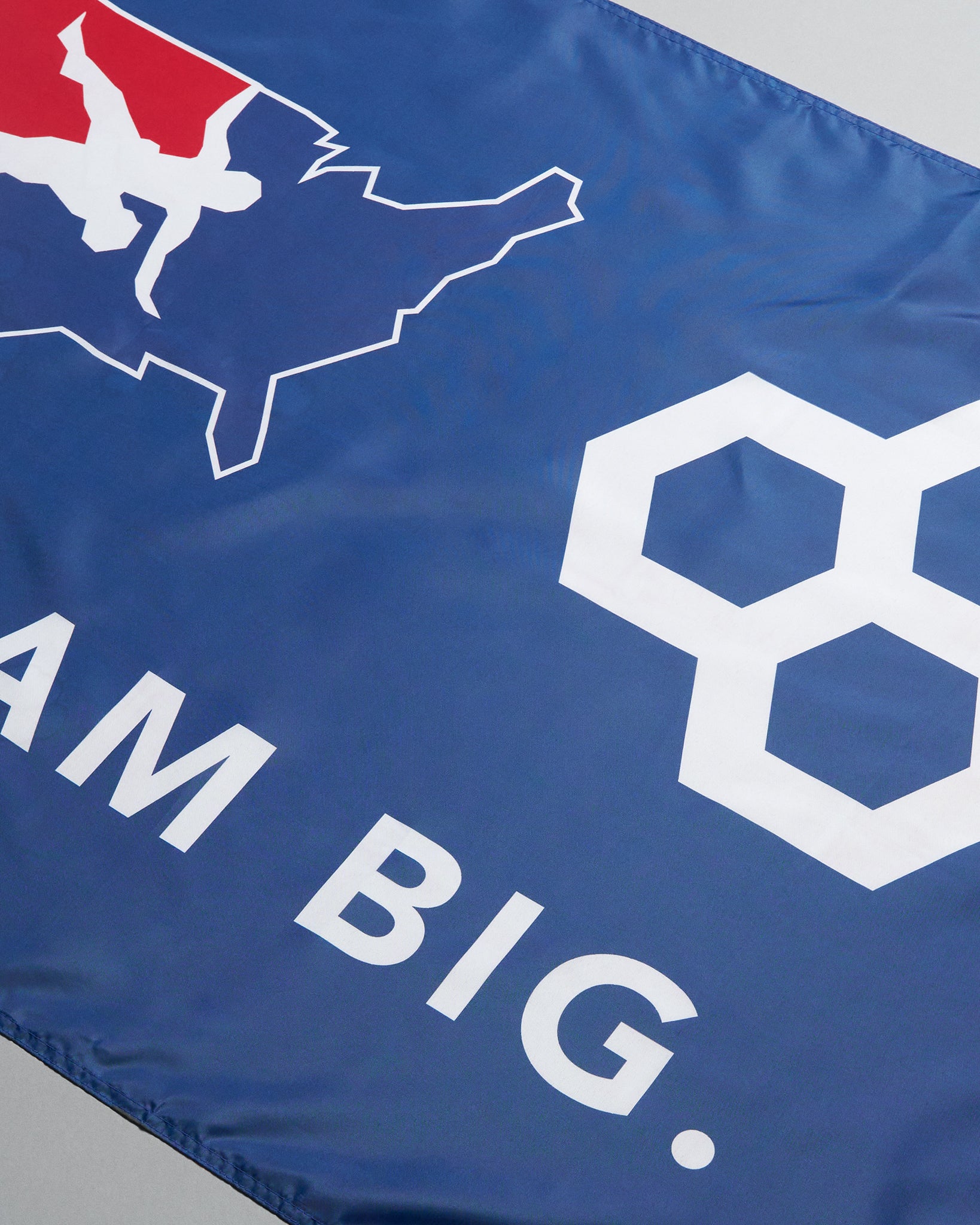 Blue flag with white text and logos on a gray background