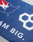 Blue flag with white text and logos on a gray background