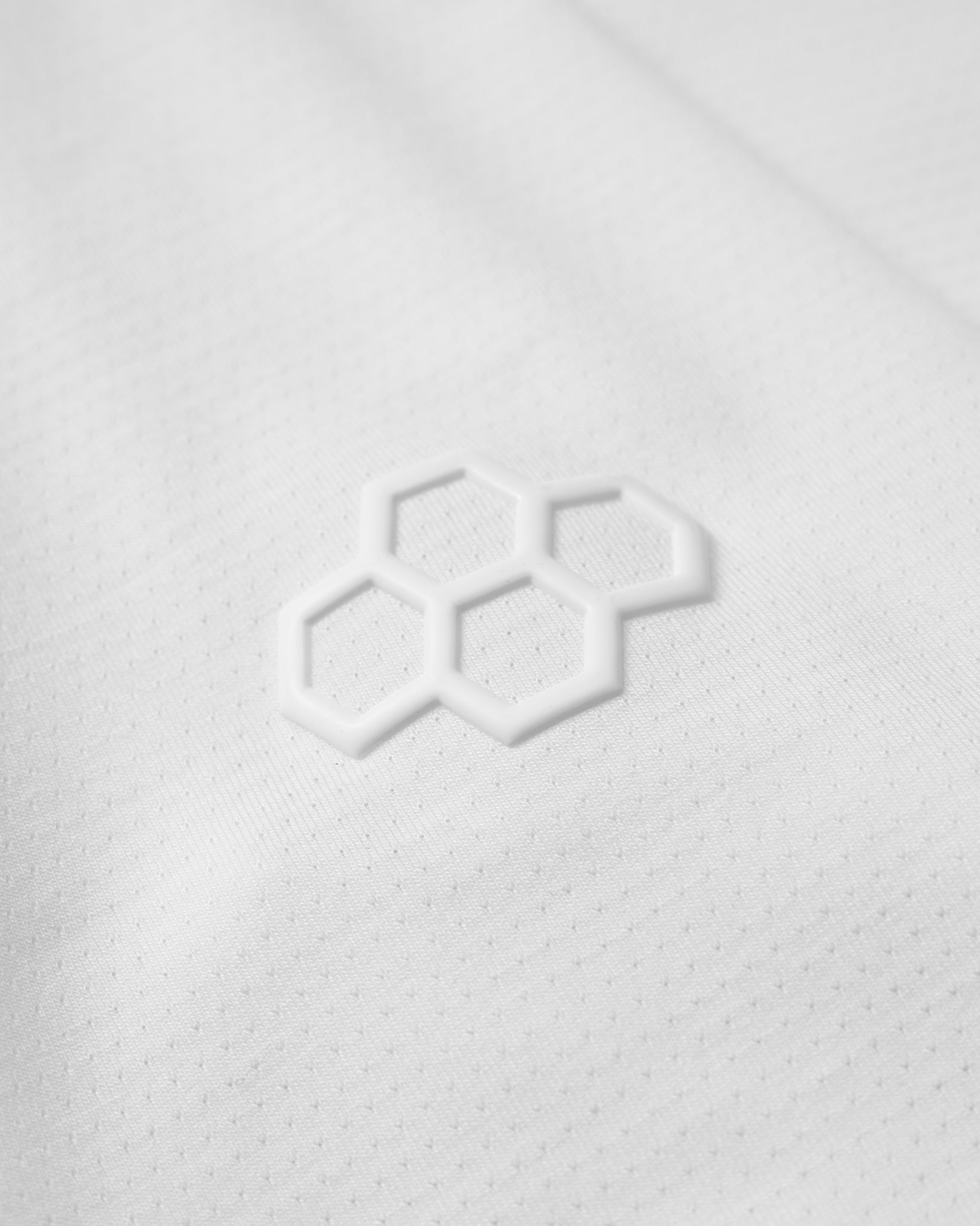 Close up of RUDIS Hex Logo
