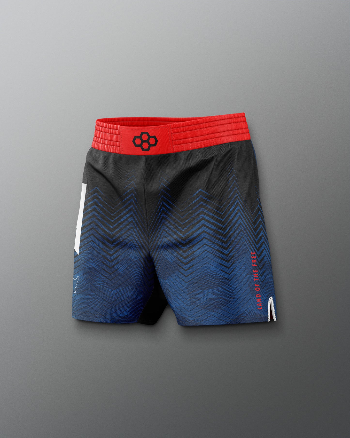 USAW Icon Sublimated Shorts