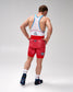 USA Wrestling Icon Men's Elite 2.0 Singlet