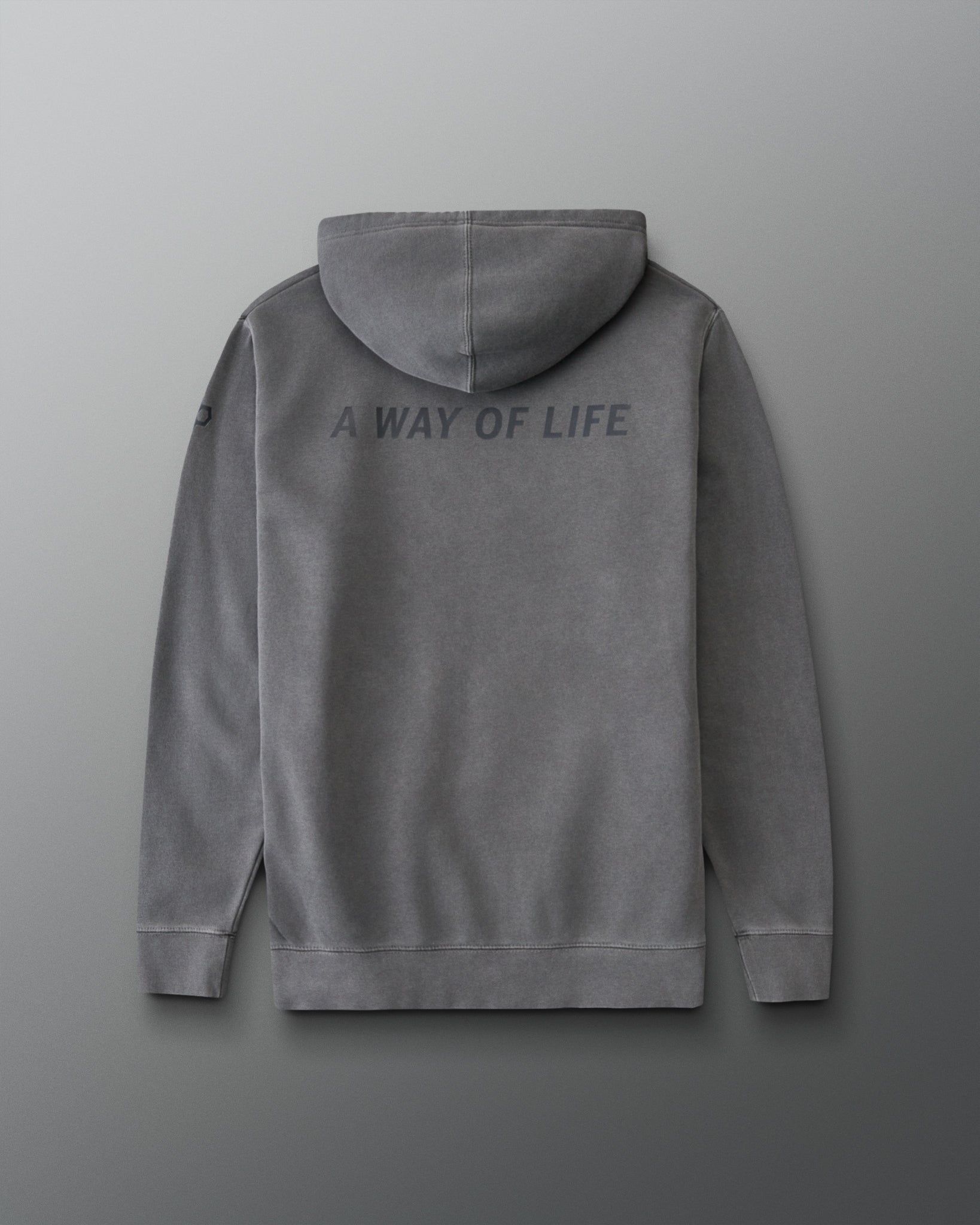 Back of the RUDIS Batman Icon Washed Hoodie in washed black featuring tonal A WAY OF LIFE graphic across the shoulders.