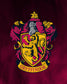 Harry Potter Samurai Speed Adult Wrestling Shoes - Gryffindor