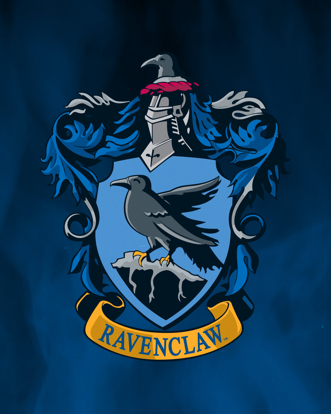 Harry Potter Samurai Speed Adult Wrestling Shoes - Ravenclaw