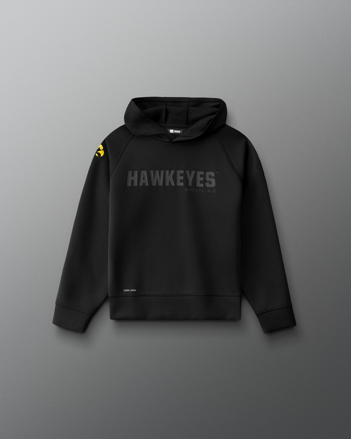 Front view of the RUDIS Iowa Hawkeyes Youth Cool Feel Hoodie in black with tonal Hawkeyes Wrestling chest graphic and gold Iowa Hawkeyes sleeve logo.