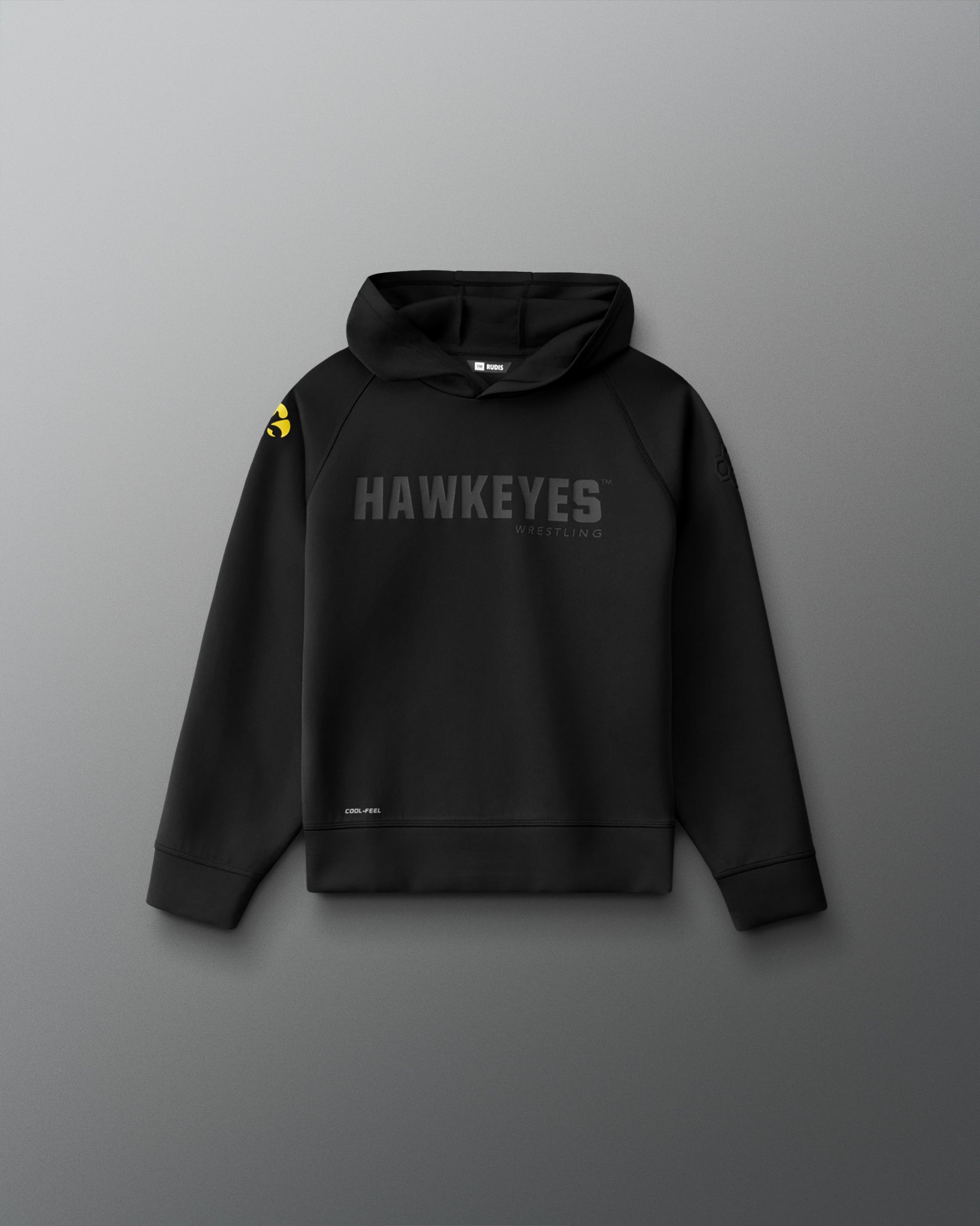 Front view of the RUDIS Iowa Hawkeyes Youth Cool Feel Hoodie in black with tonal Hawkeyes Wrestling chest graphic and gold Iowa Hawkeyes sleeve logo.