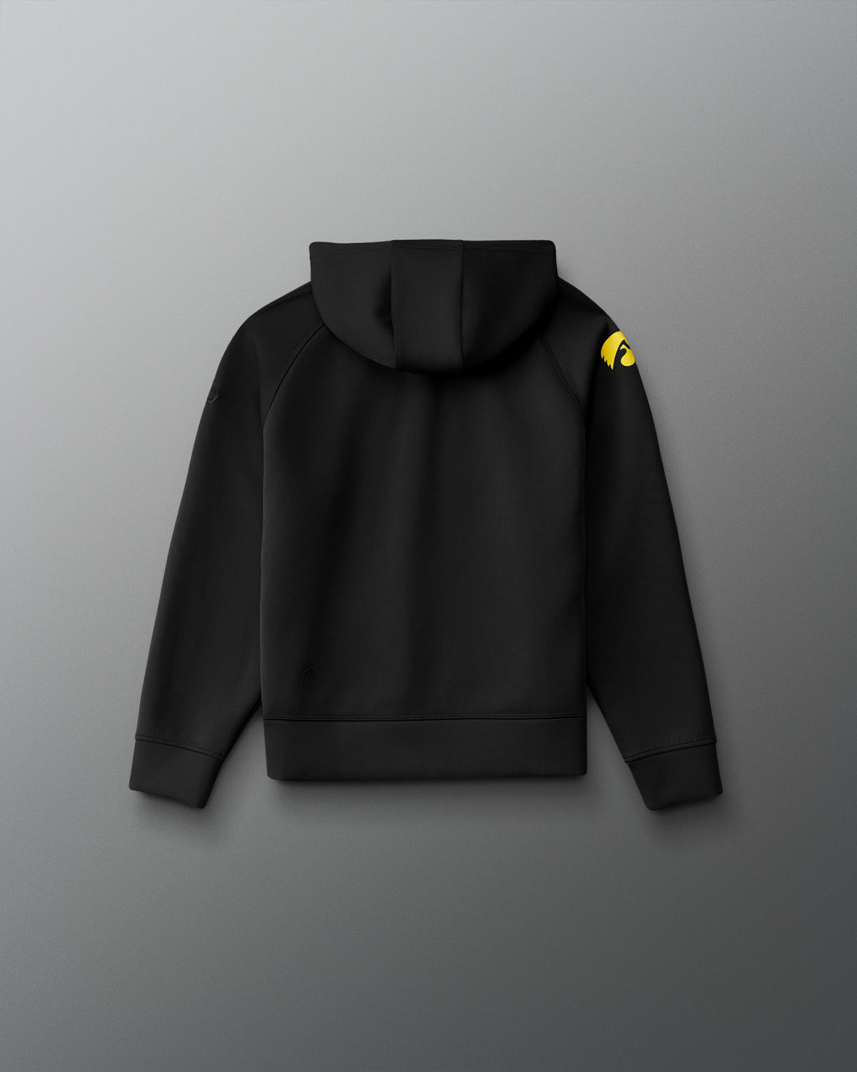Back view of the RUDIS Iowa Hawkeyes Youth Cool Feel Hoodie in black with a gold Iowa Hawkeyes logo on the sleeve and tonal RUDIS branding.