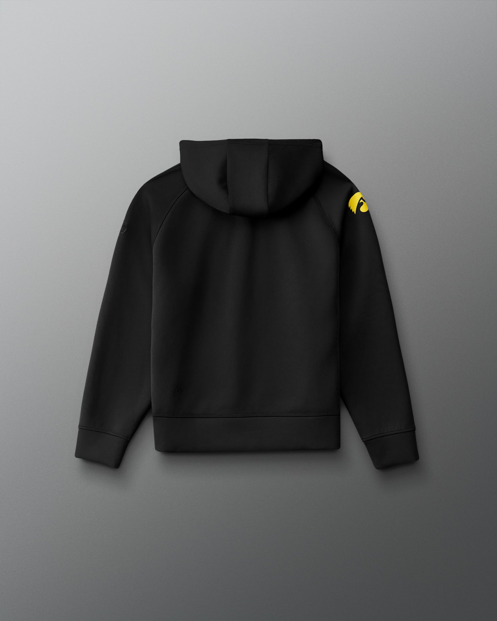 Back view of the RUDIS Iowa Hawkeyes Youth Cool Feel Hoodie in black with a gold Iowa Hawkeyes logo on the sleeve and tonal RUDIS branding.