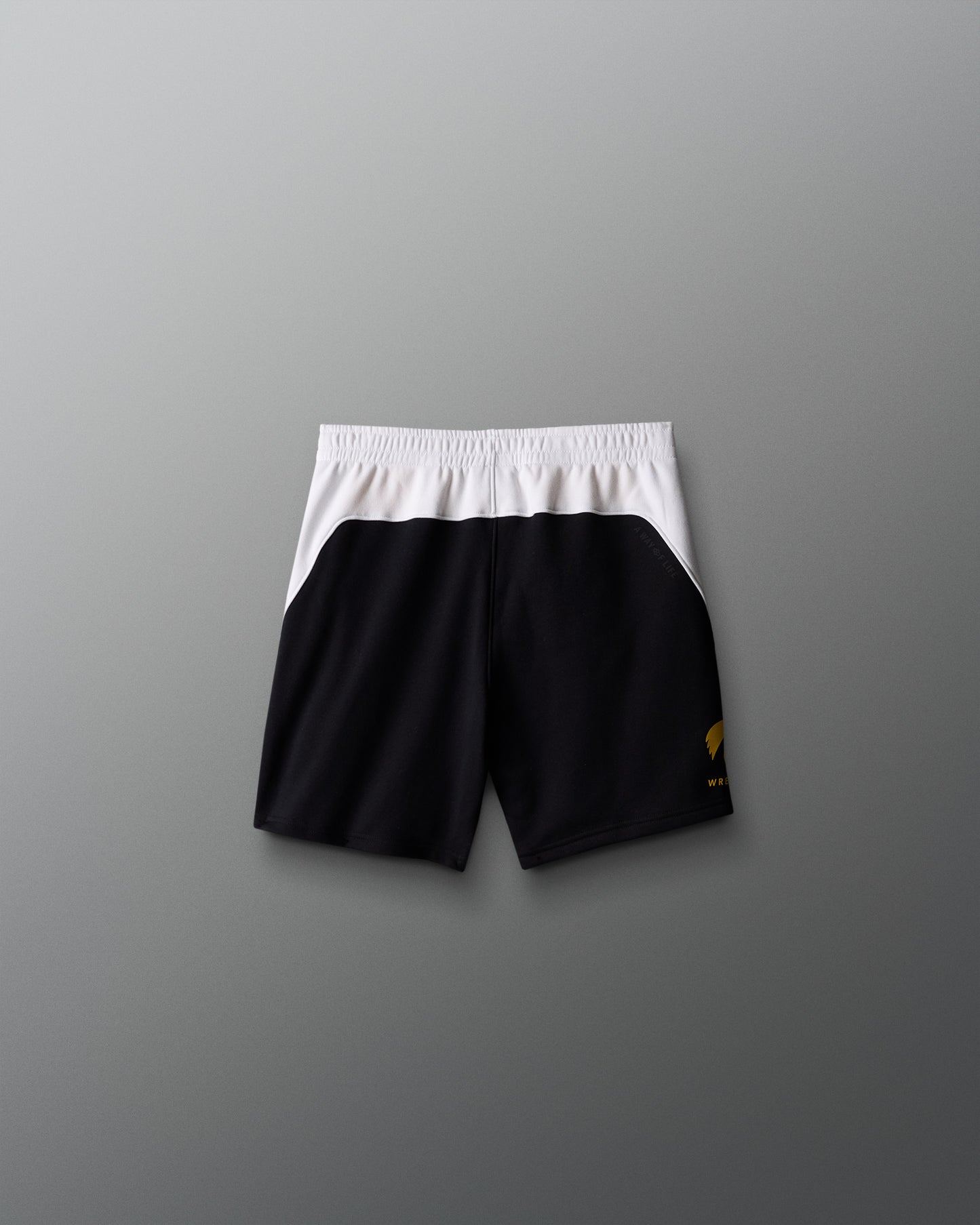 Iowa Youth Colorblock 5" Shorts