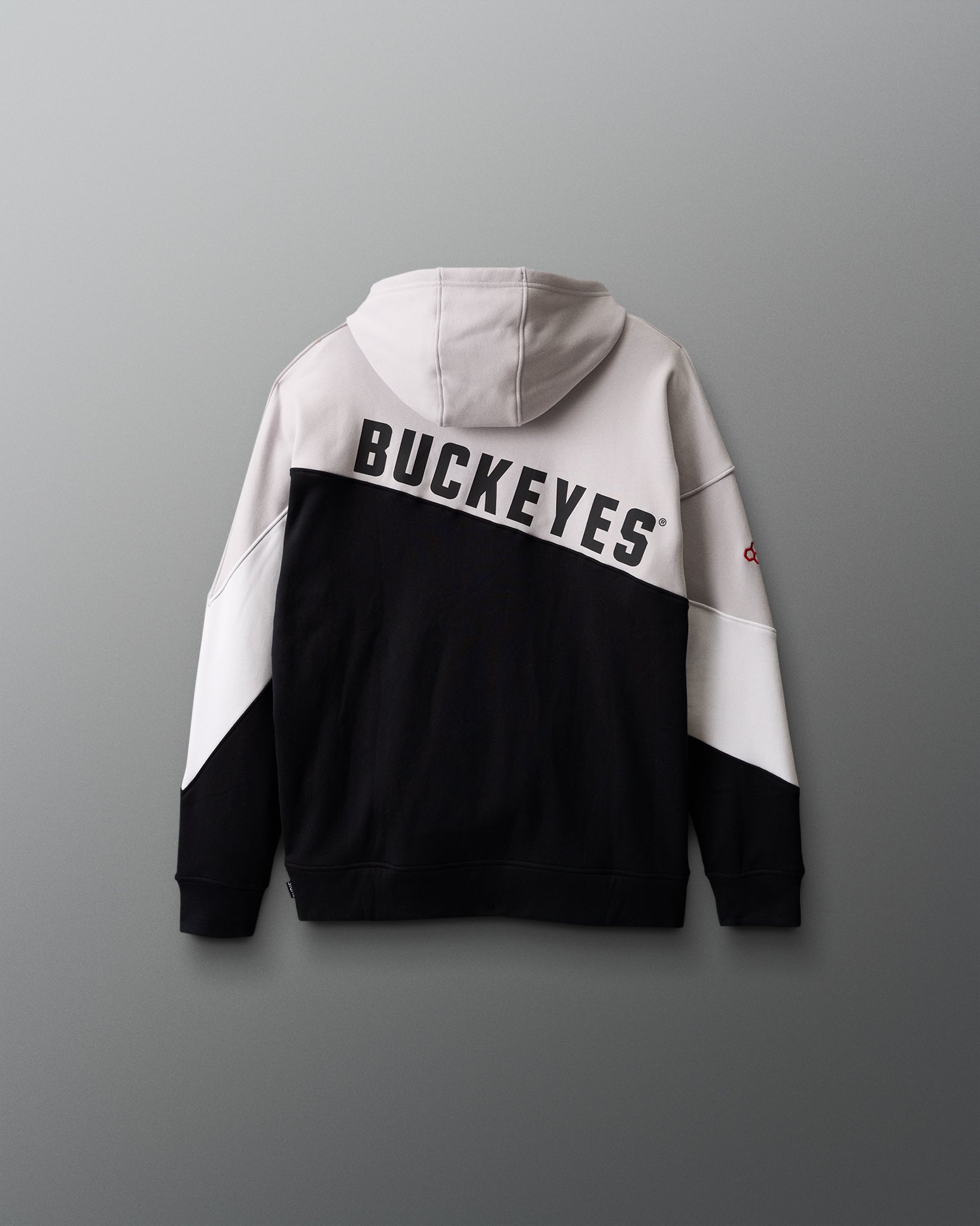 Ohio State Youth Colorblock Hoodie | RUDIS