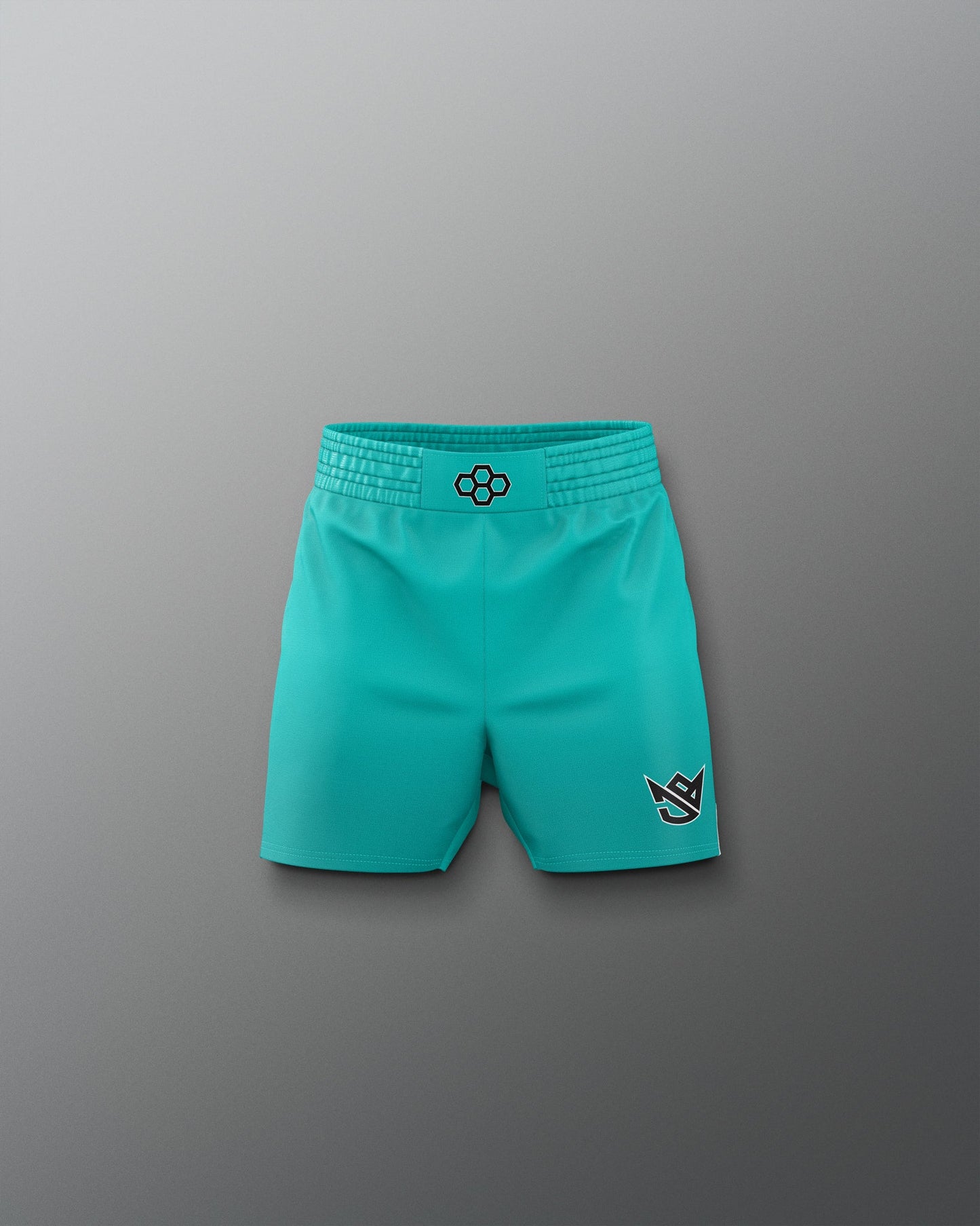 Teal shorts with logos on a gray background