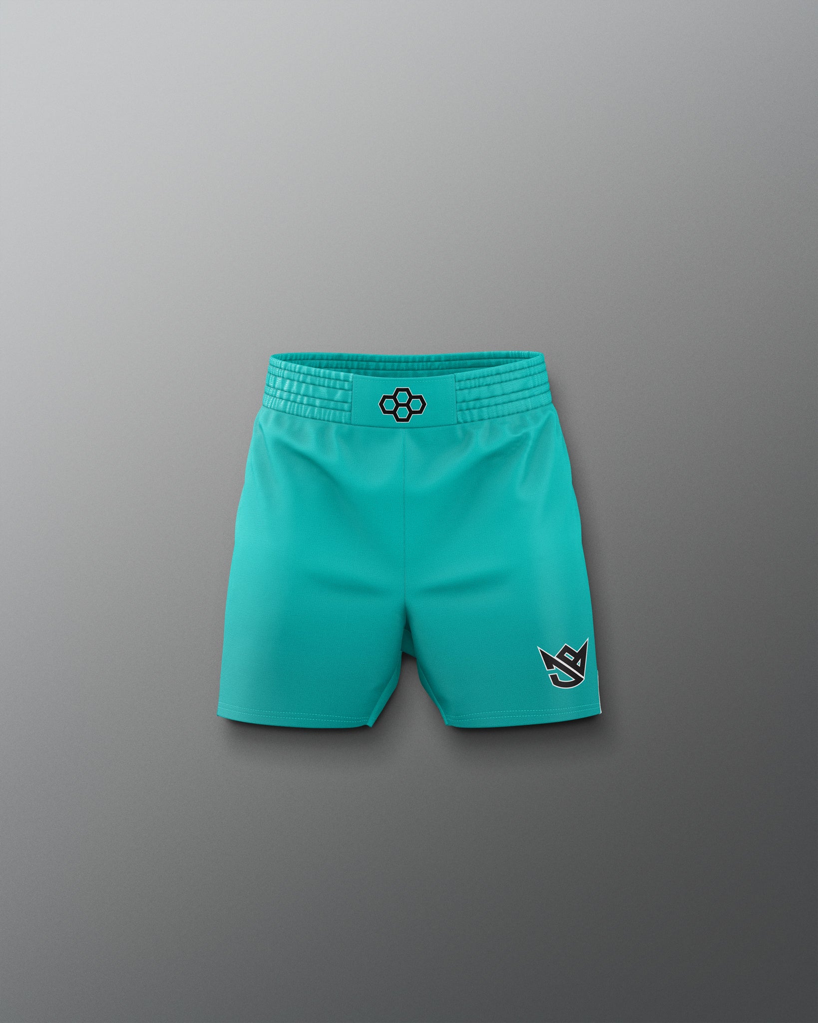 Teal shorts with logos on a gray background