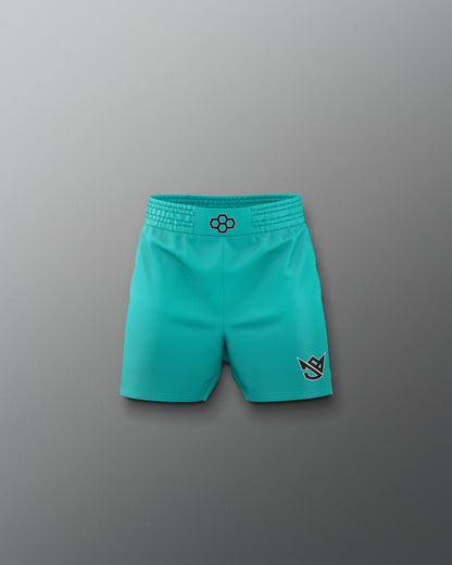 Teal shorts with logos on a gray background