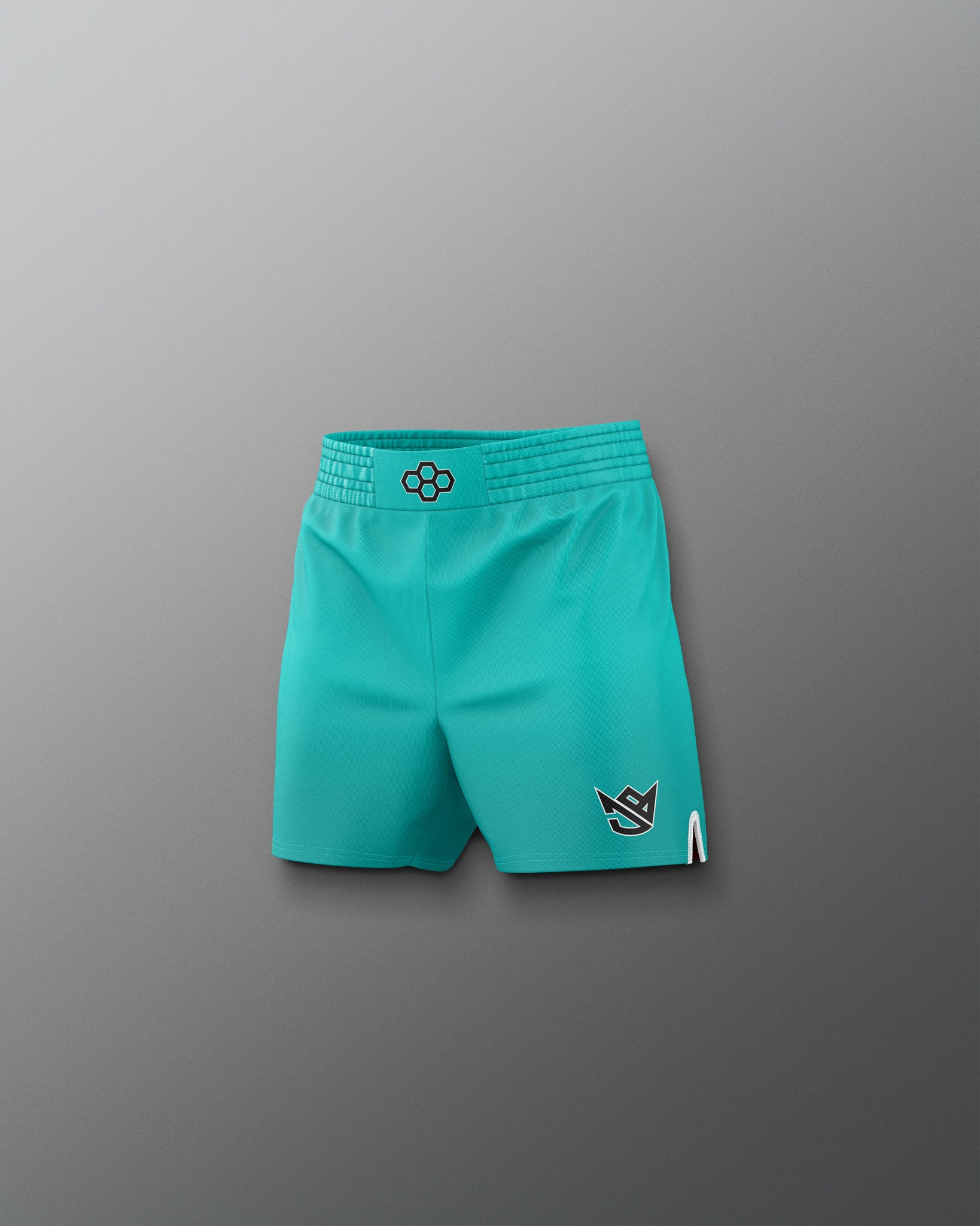 Teal shorts with brand logos on a gray background