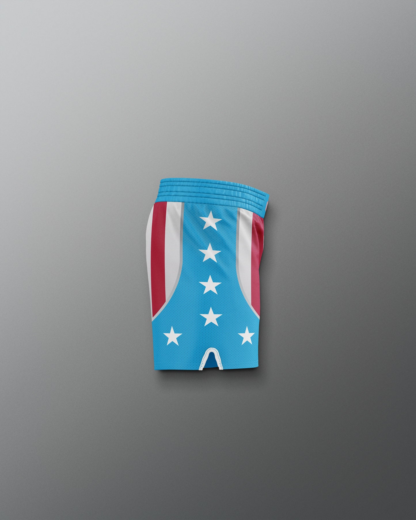 Rocky "CREED" Youth Elite Shorts