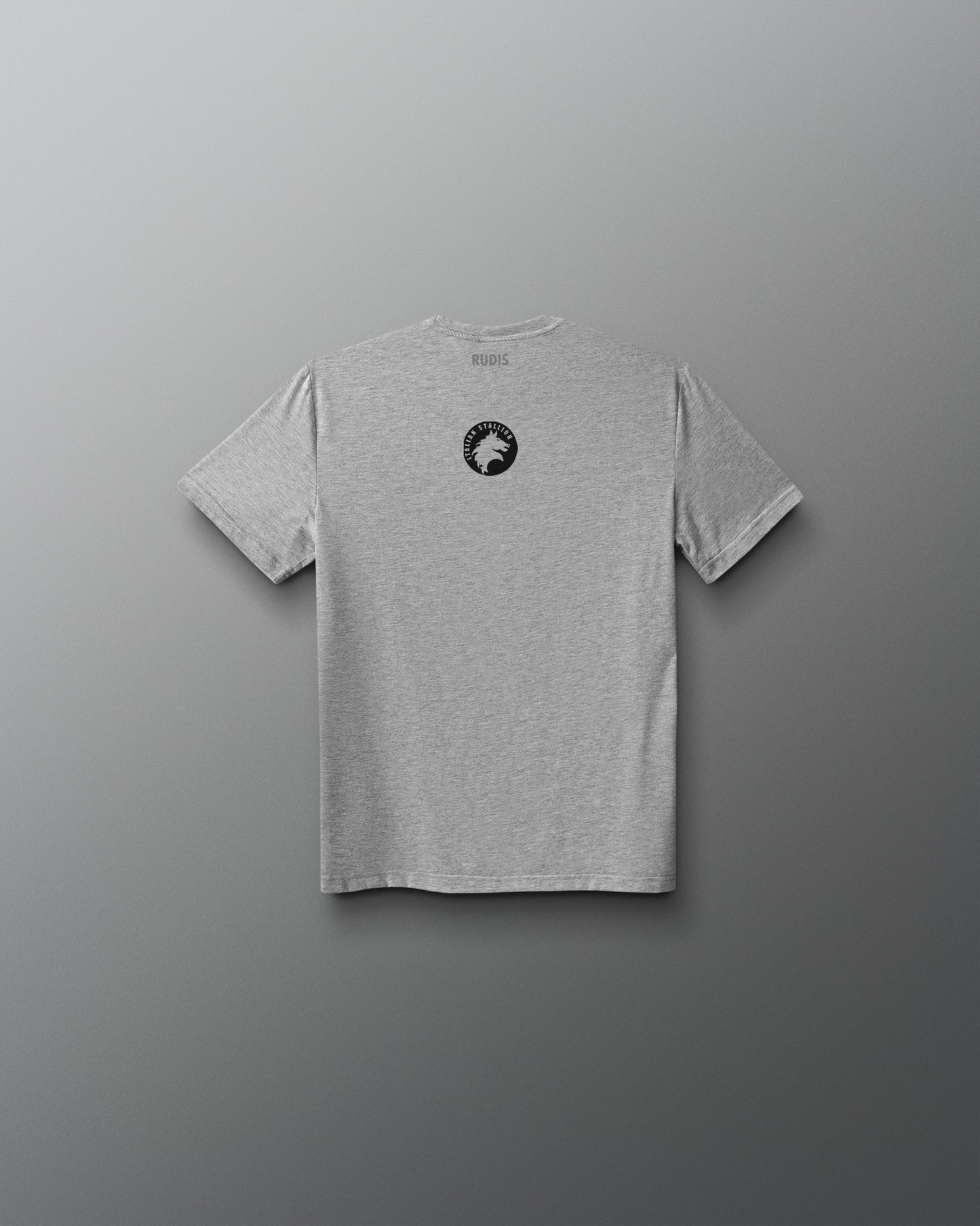 Gray t-shirt with a logo on the chest against a gray background
