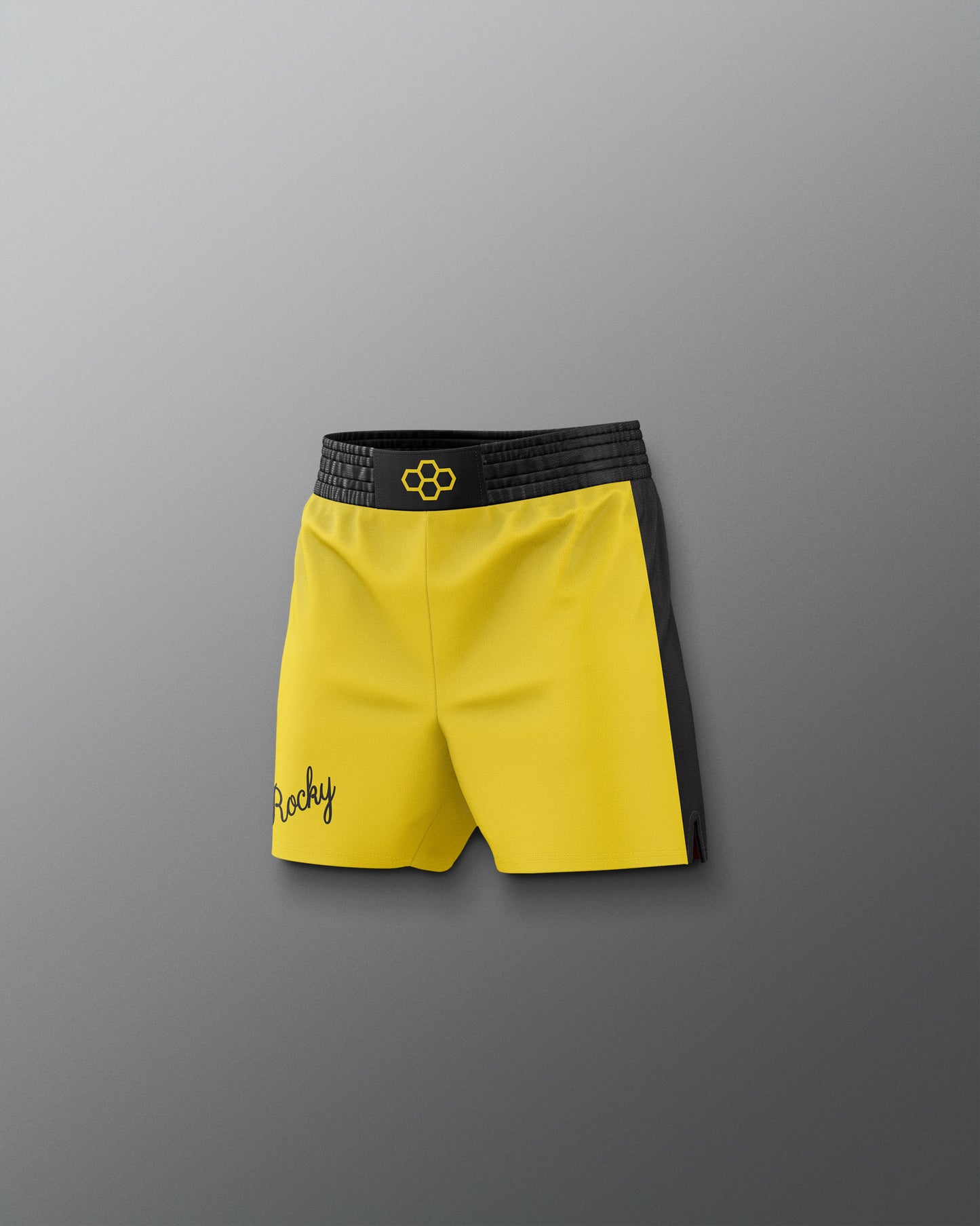 ROCKY III Rocky Elite Youth Wrestling Shorts