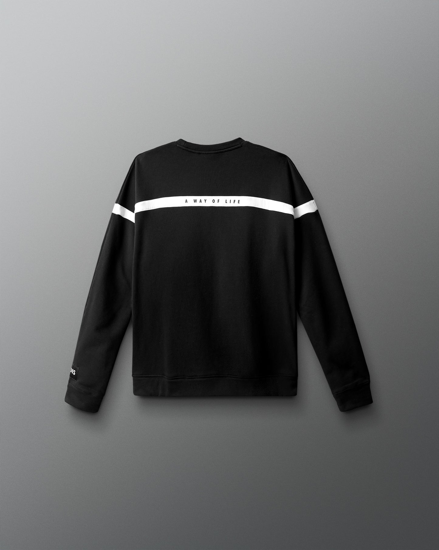 Wrestling Youth Colorblock Crewneck