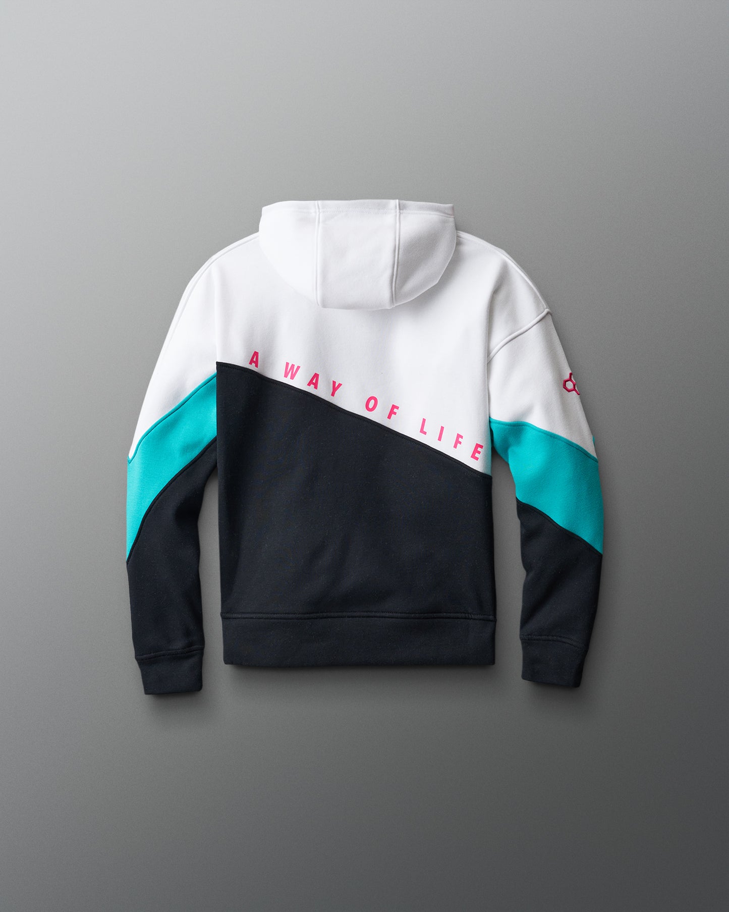 Wrestling Youth Colorblock Hoodie