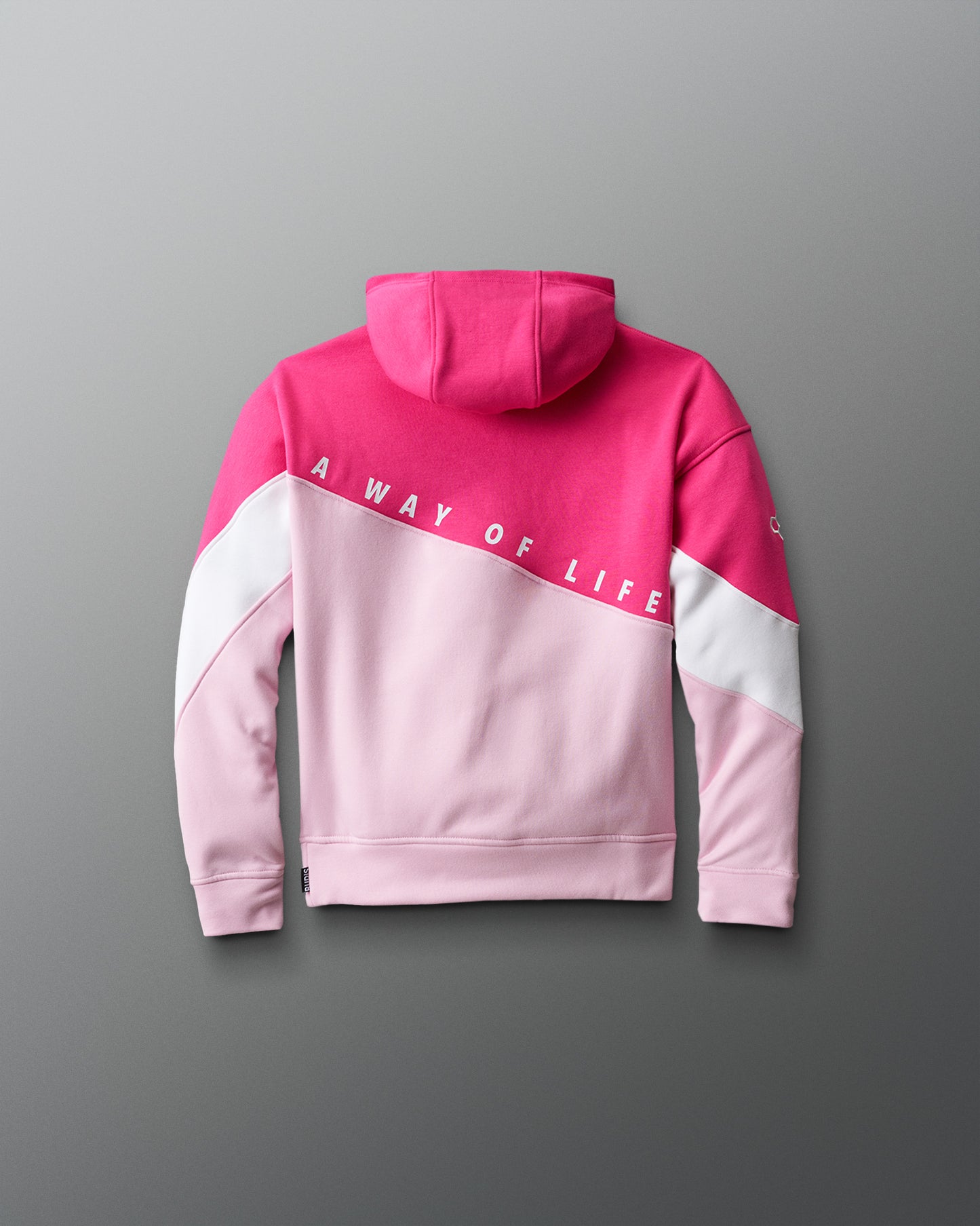 Wrestling Youth Colorblock Hoodie