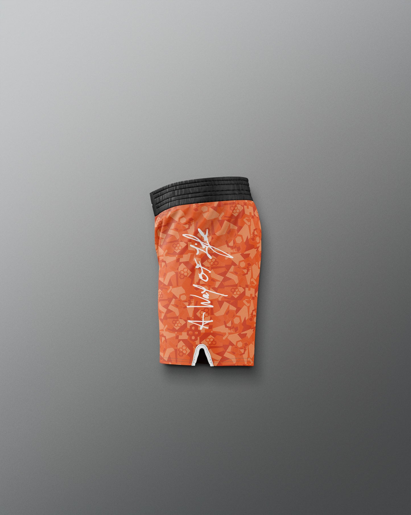 Motto Camo Youth Elite Shorts