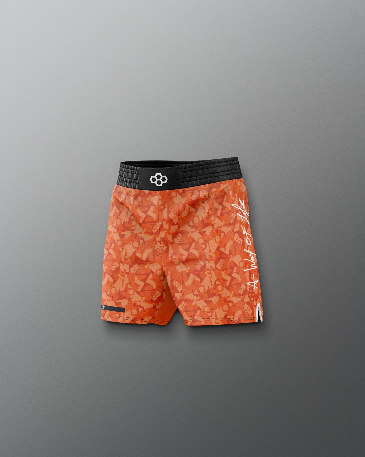 Motto Camo Youth Elite Shorts