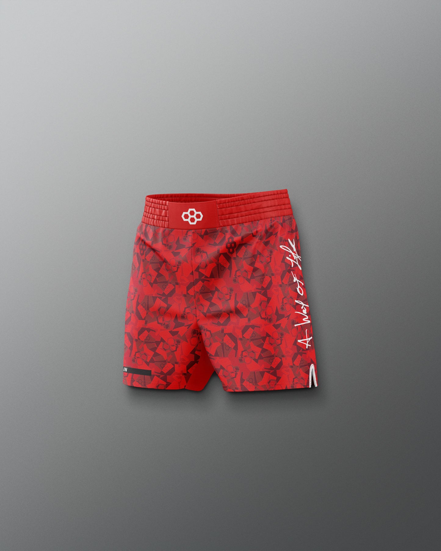 Motto Camo Youth Elite Shorts