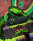 Black and green wrestling shoes on a Teenage Mutant Ninja Turtles box with colorful background
