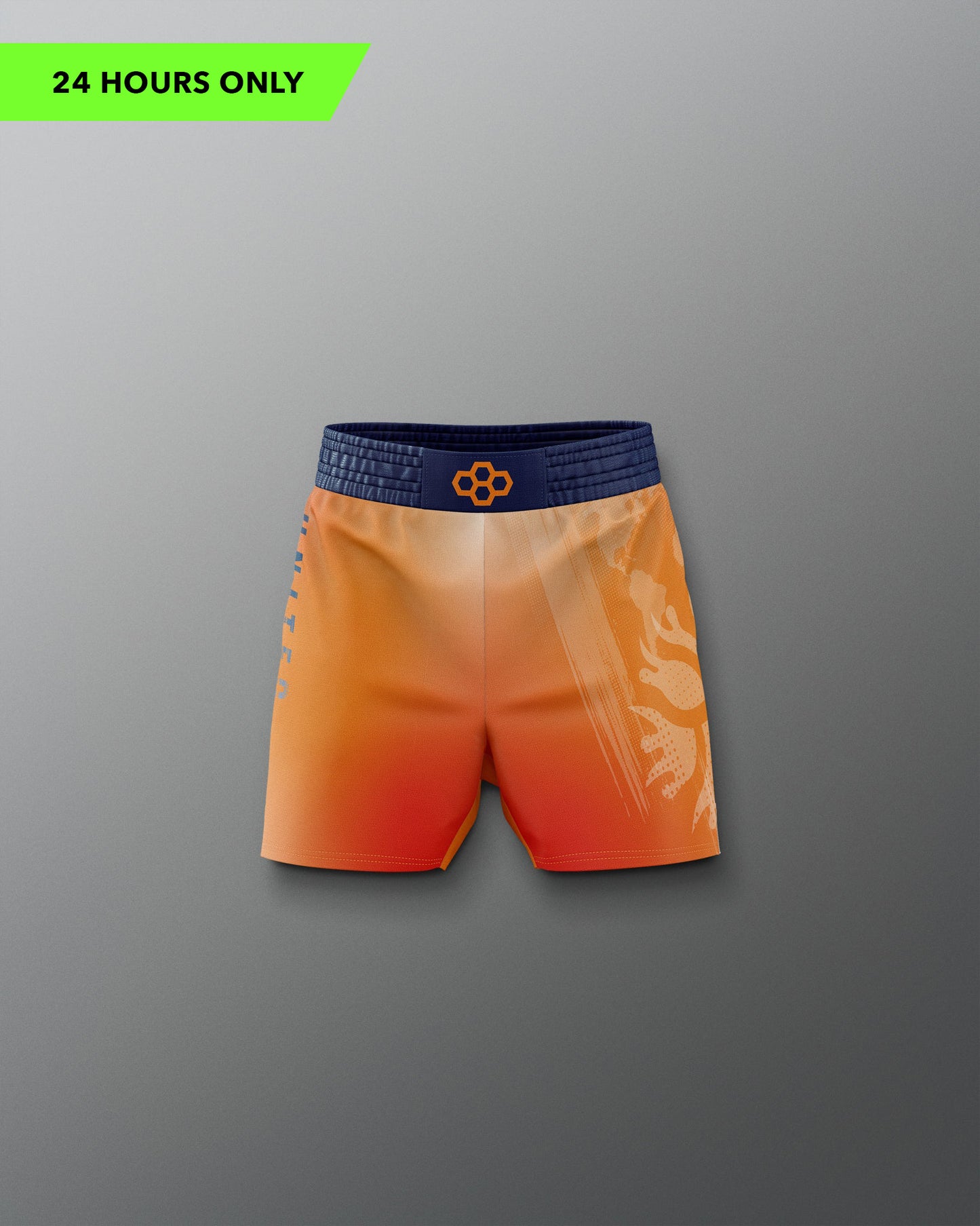 Short Elite UWW Gradient pour garçon
