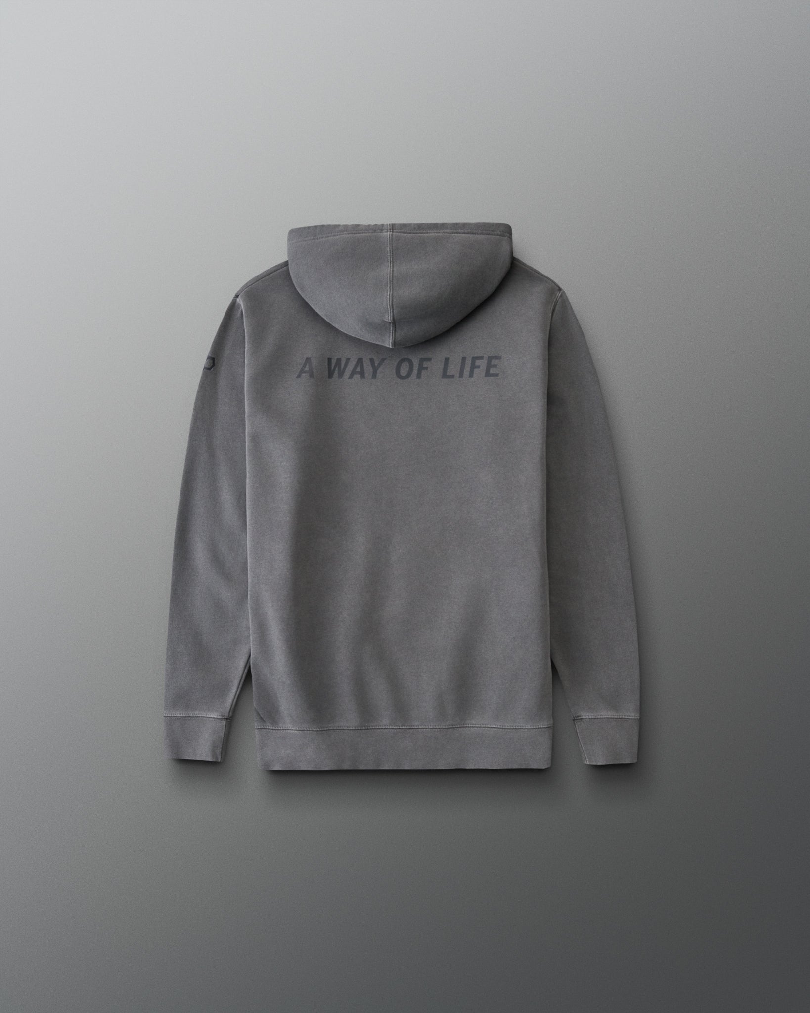Back of the RUDIS Batman Icon Youth Washed Hoodie in washed black featuring tonal A WAY OF LIFE graphic across the shoulders.
