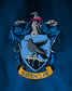 Harry Potter Samurai Speed Youth Wrestling Shoes - Ravenclaw